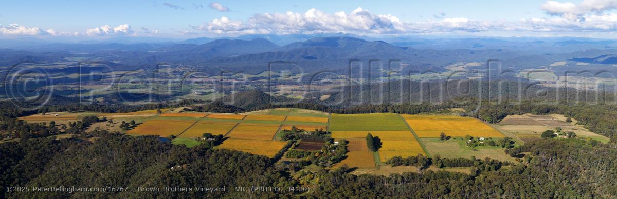 Peter Bellingham Photography Brown Brothers Vineyard - VIC (PBH3 00 34130)